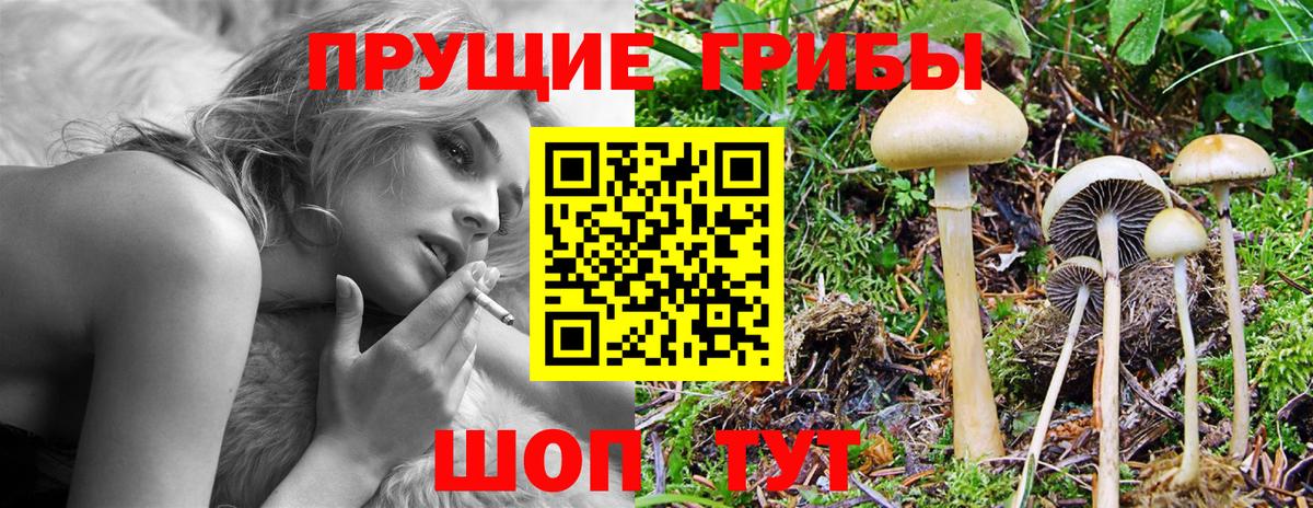 Галлюциногенные грибы ЛСД Сыктывкар