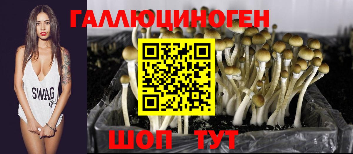 Псилоцибиновые грибы прущие грибы  наркота  Псилоцибиновые грибы MAGIC MUSHROOMS  Сыктывкар  Вход с VPN 